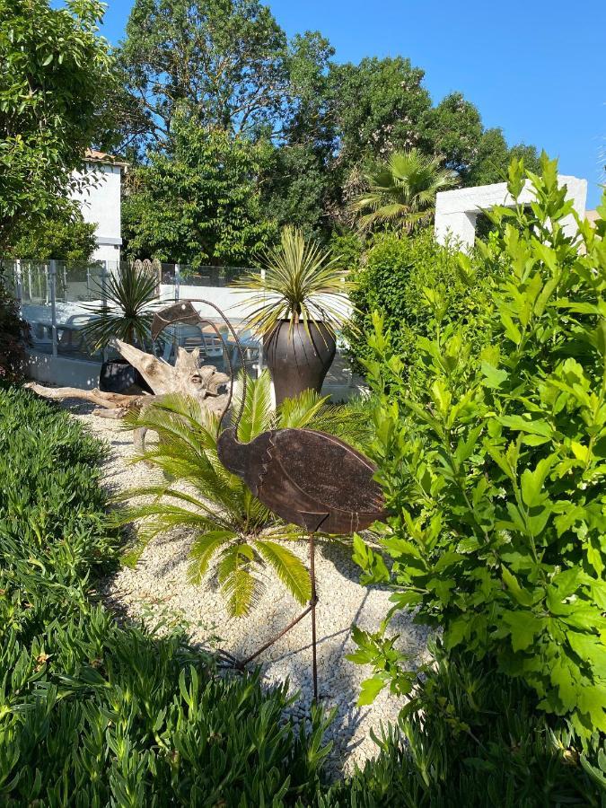 Jm Vacances Serignan Studio ภายนอก รูปภาพ
